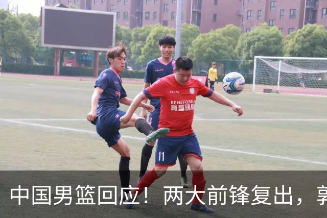 中国男篮回应！两大前锋复出，郭士强压力巨大，杨毅苏群吵起来了